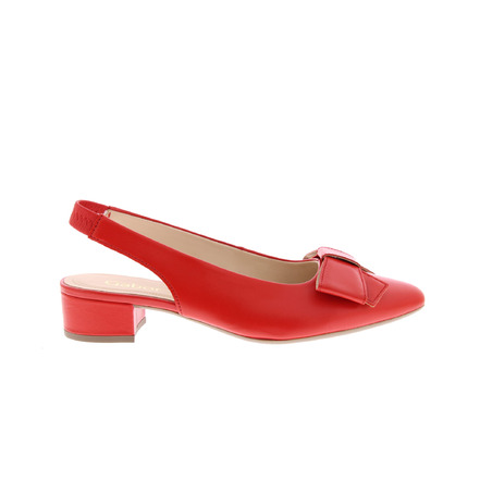 Gabor pumps rot