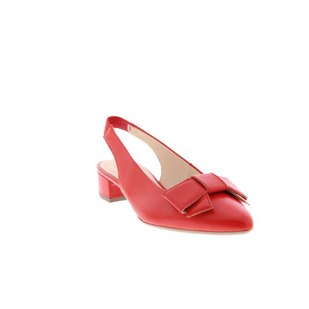 Gabor pumps rot