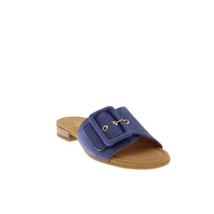 Gabor tongs bleu