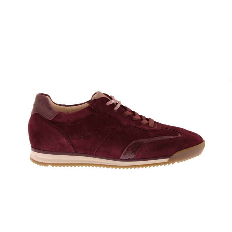 Gabor sneakers bordeaux 1