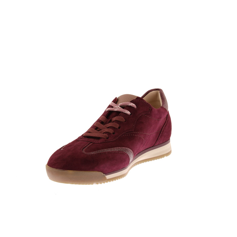 Gabor sneakers bordeaux 3
